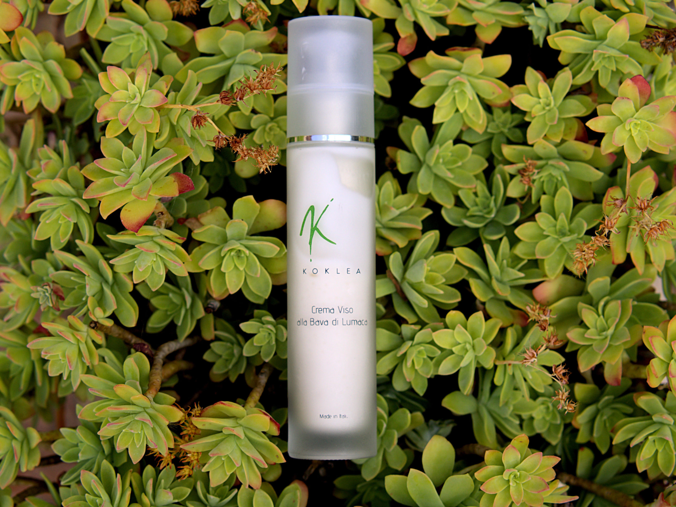 recensione crema viso